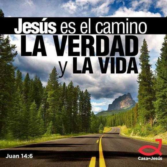 Meet your Posher, René - Picture 1 of 1